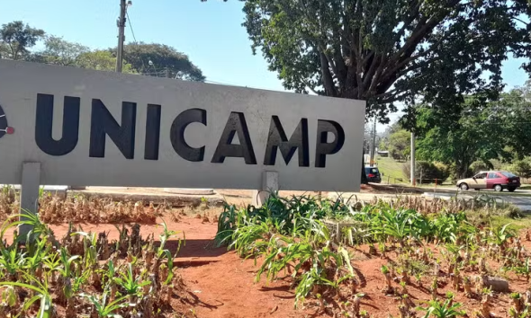 imagem de - Evento Unicamp de Portas Abertas Atrai Estudantes com Atividades Interativas